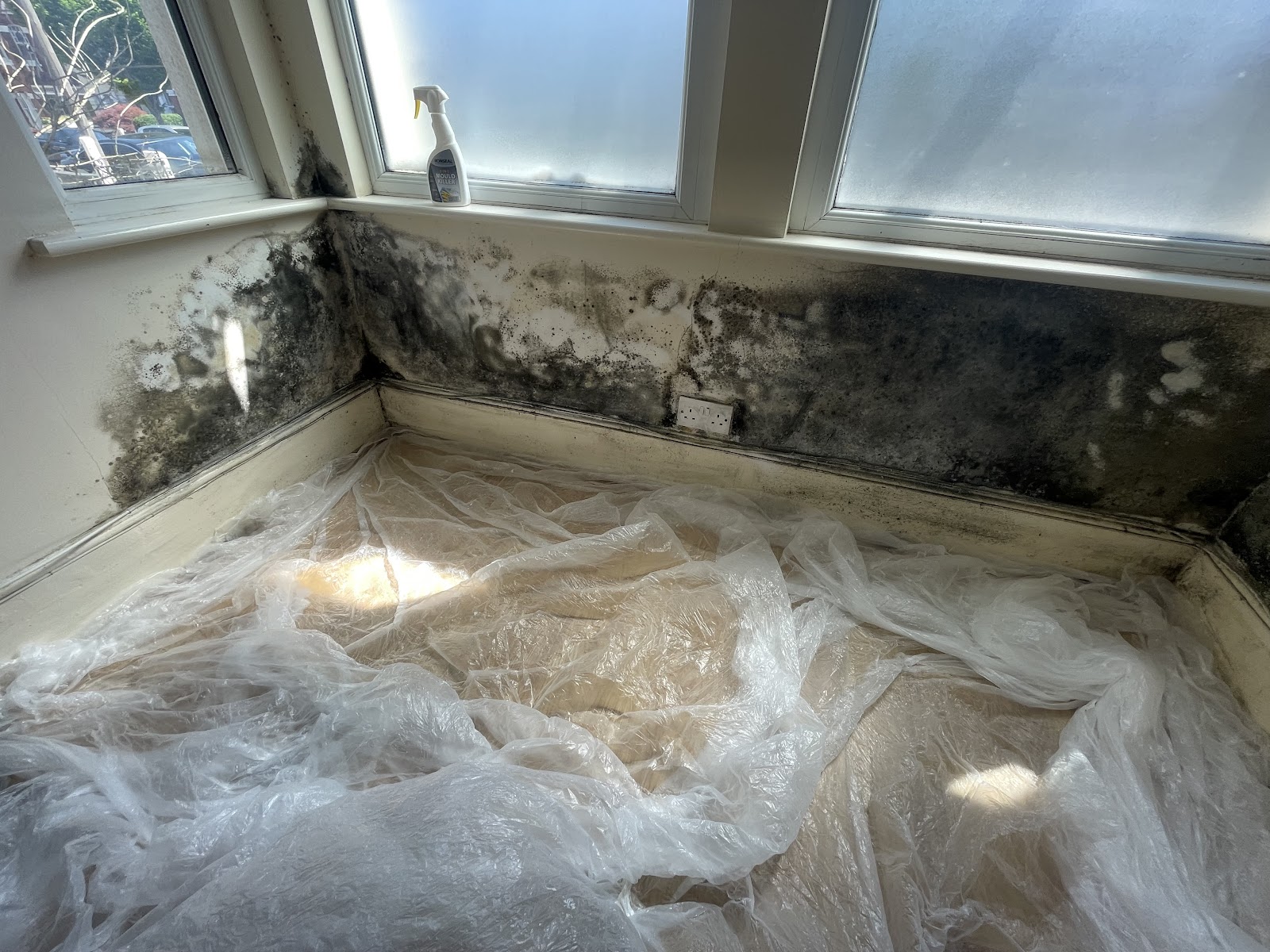 Bedroom bay window covered in black mould from skirting to sill, before treatment
