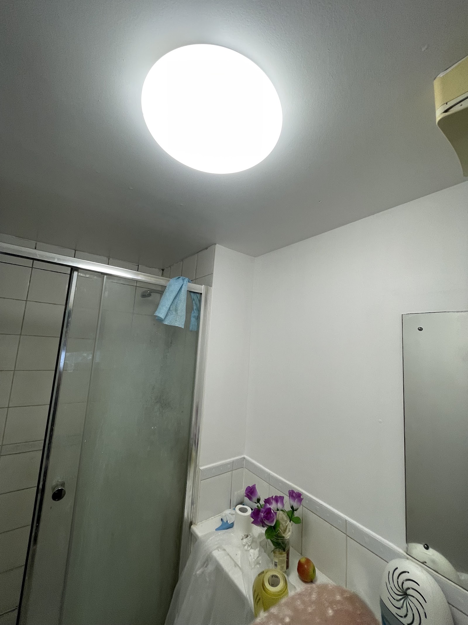 The same en-suite ceiling after mould treatment, sealing and repainting