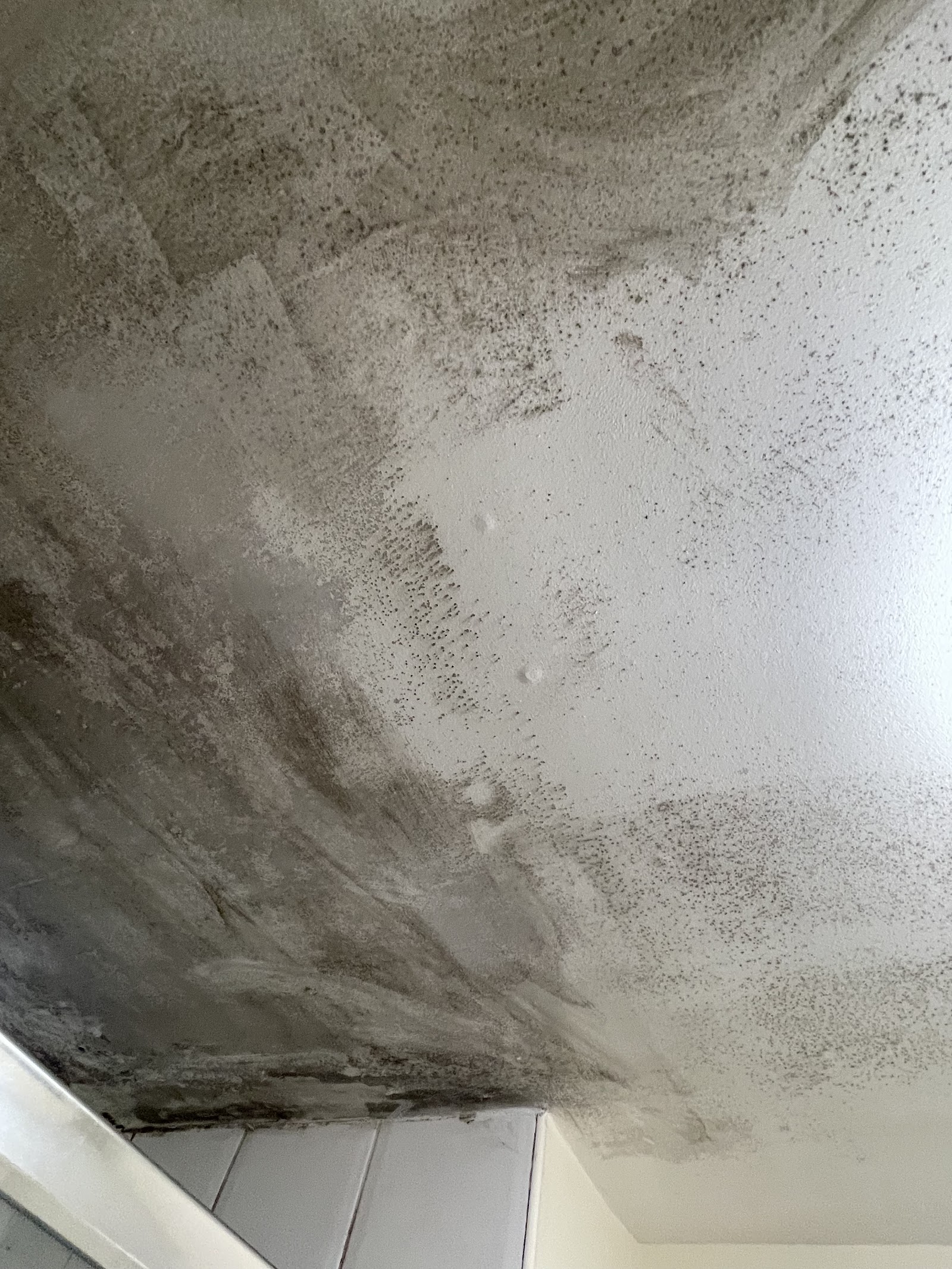 Condensation mould across an en-suite shower ceiling, before